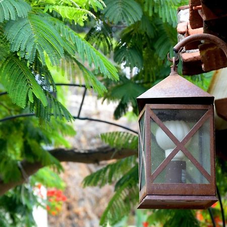 Romantic Hamlet Cottage With Private Pool La Fragua De Eliseo 칸델라리아 외부 사진