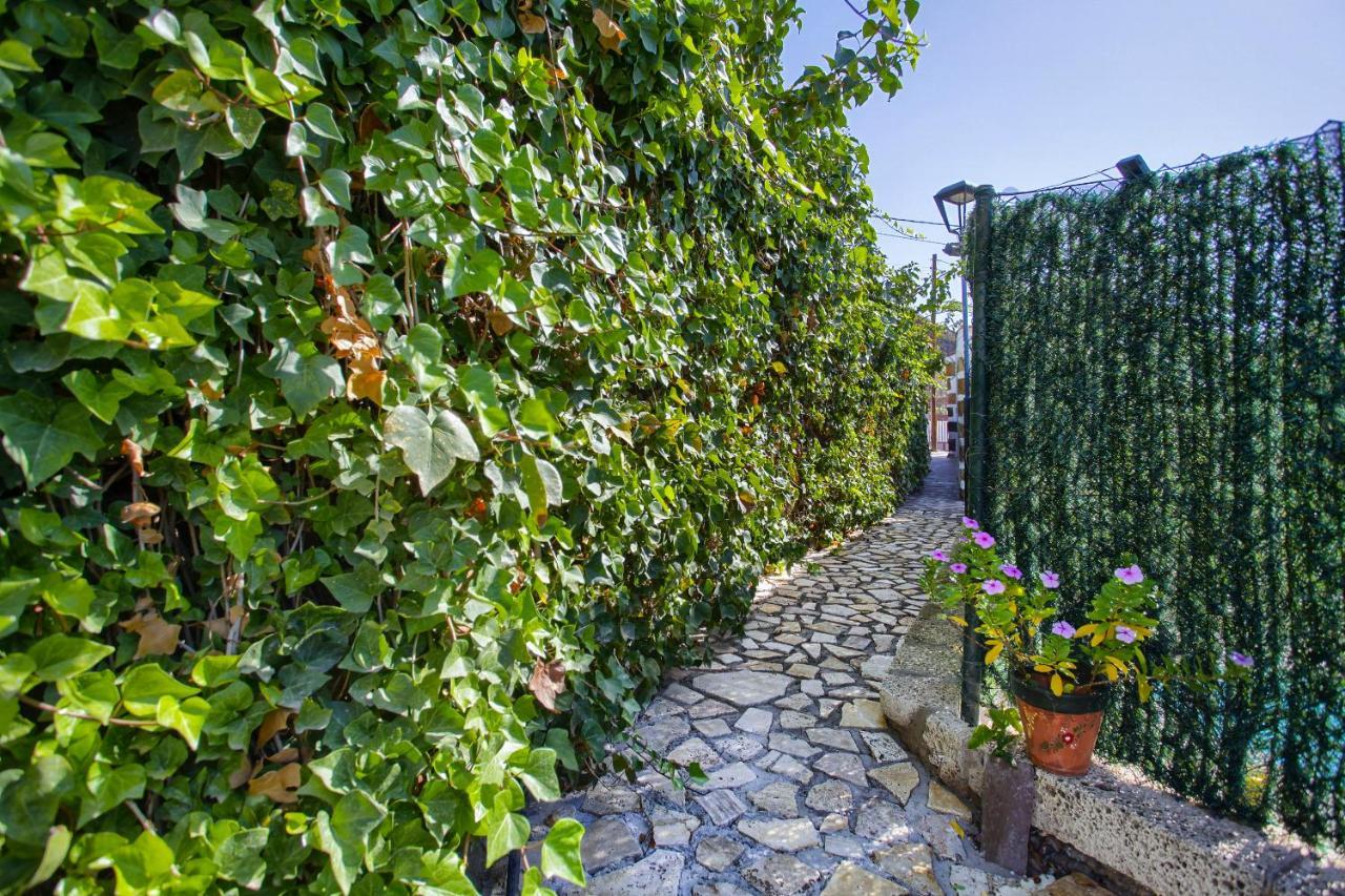 Romantic Hamlet Cottage With Private Pool La Fragua De Eliseo 칸델라리아 외부 사진