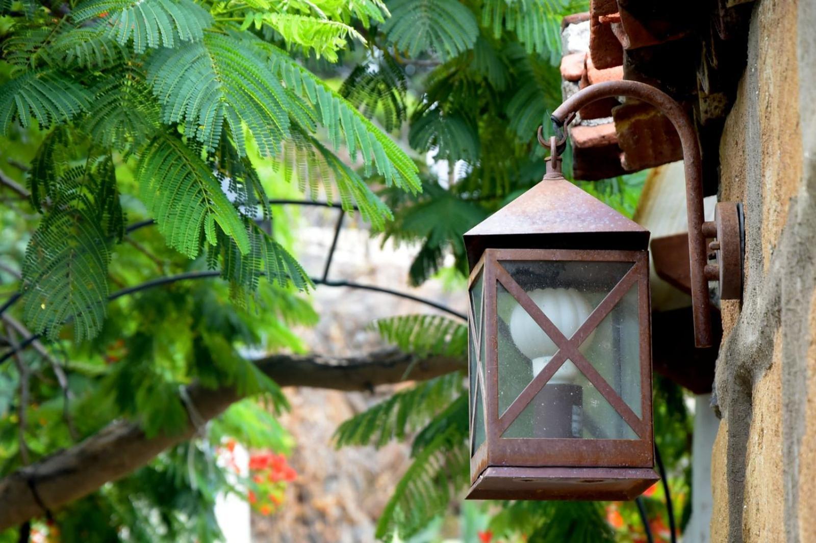 Romantic Hamlet Cottage With Private Pool La Fragua De Eliseo 칸델라리아 외부 사진